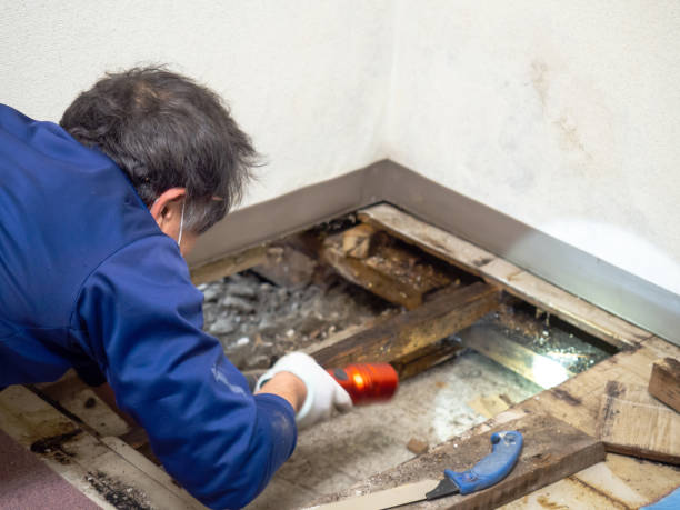 Crawl Space Mold Removal in Jefferson, MD