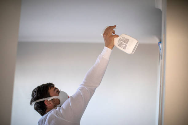 Best Emergency Mold Removal  in Jefferson, MD