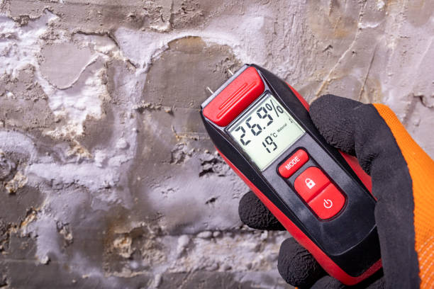 Attic Mold Removal in Jefferson, MD