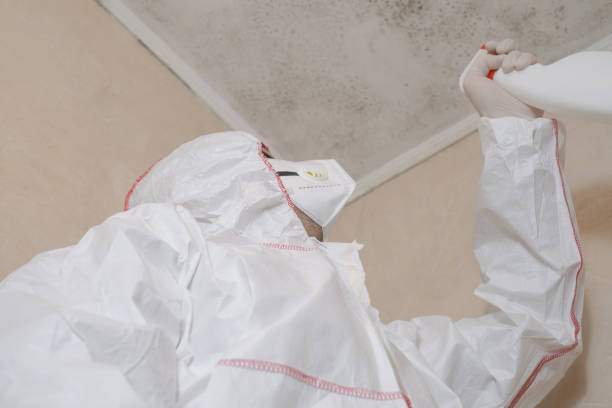 Best Crawl Space Mold Removal  in Jefferson, MD